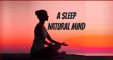 A Sleep Natural Minds