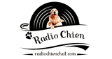 Radio chien