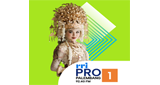 RRI Pro 1 - Palembang