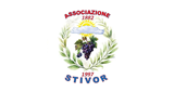 Štivor