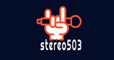 Stereo 503