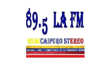 Guaicaipuro Stereo