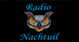 Radionachtuil