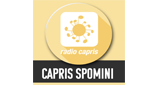 Radio Capris Spomini