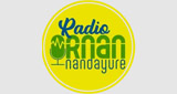 Radio Ornán Nandayure