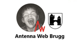 Antenna Web Brugg