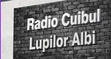 Radio Cuibul Lupilor Albi