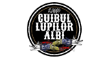 Radio Cuibul Lupilor Albi