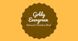 Goldy Evergreen