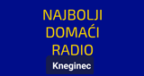 Domaći radio Kneginec