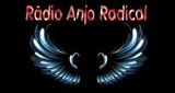 Rádio Anjo Radical