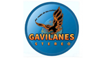 Gavilanes Stereo