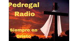 Pedregal Radio