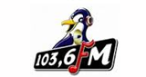 Pinguin Radio Bali