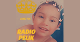 Radio Pelik