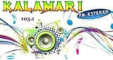 Kalamary Stereo