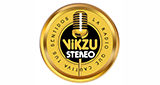 Vikzu Stereo