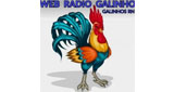 Radio Galinho