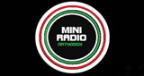 Mini Radio Orthodoh