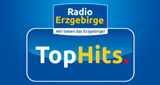 Radio Erzgebirge - Top Hits