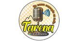 Tarena Online