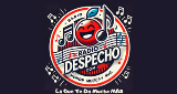 Radio Despecho. Com