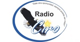 Radio Ciro