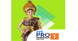 RRI Pro 1 - Denpasar