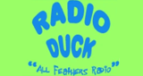 Radio Duck