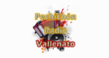 Pechichón Radio Vallenato