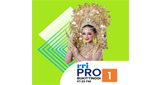 RRI Pro 1 - Bukittinggi