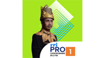 RRI Pro 1 - Lhokseumawe