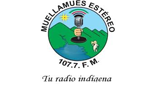 Muellamues Estereo