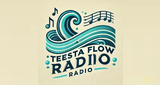 Teesta Flow Radio