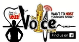 The Voice 17104