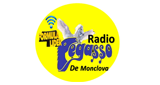 Radio Pegasso De Saltillo