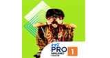 RRI Pro 1 - Malang