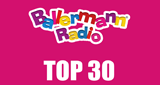 Ballermann Radio - Top30