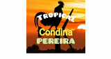 Condina Tropical Pereira