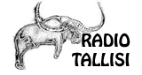Radio Tassili - FM 88