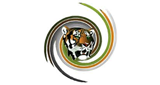 Tiger FM