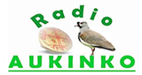 Radio Mapuche Aukinko