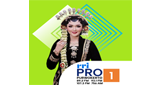 RRI Pro 1 - Purwokerto