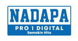 Nadapa Pro 1 Digital
