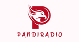 Pandi Radio