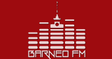 Барнаул Barneo FM Russian Mix