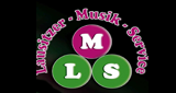 Lausitzer-Musik-Service
