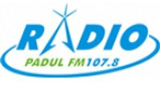 Radio Padul Fm online en directo en Radiofy.online