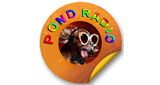 Pond Radio
