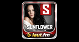 Sunflower Promotion - Party & Apresski